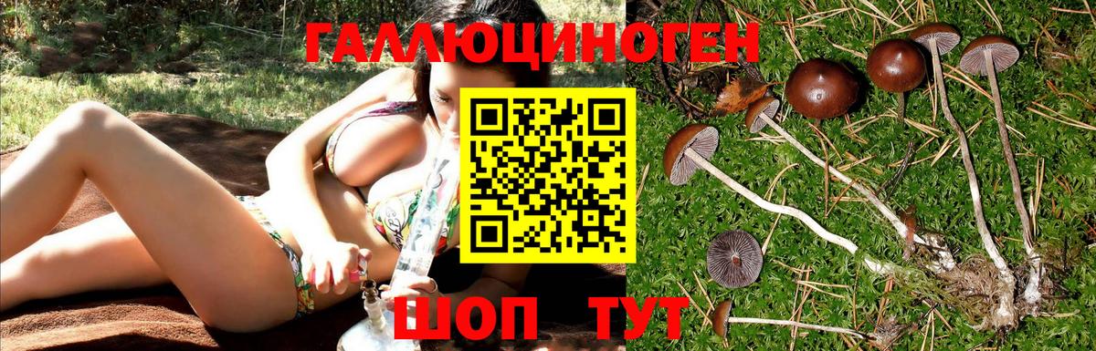 Туапсе  Галлюциногенные грибы GOLDEN TEACHER  Галлюциногенные грибы Psilocybe  Вход с VPN 