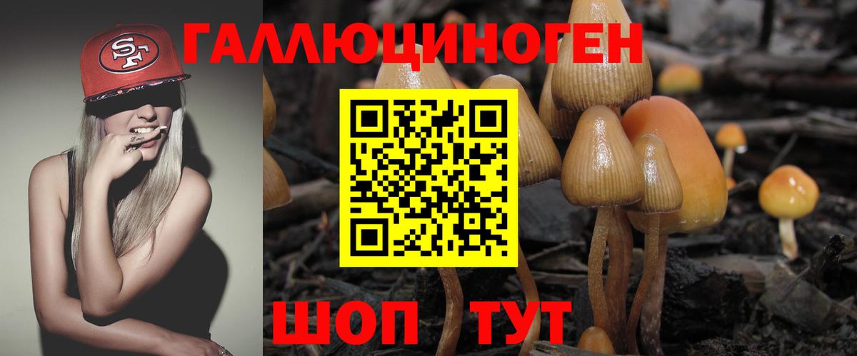 Галлюциногенные грибы ЛСД Туапсе
